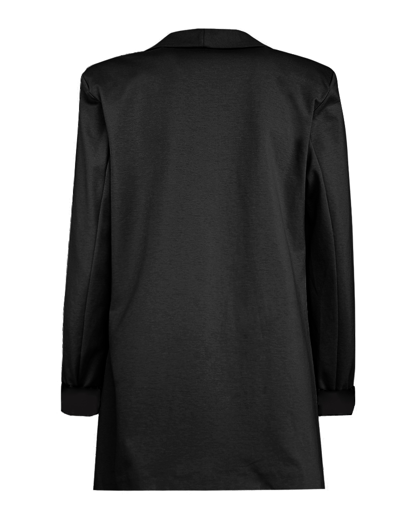 Basic Blazer Basic Blazer