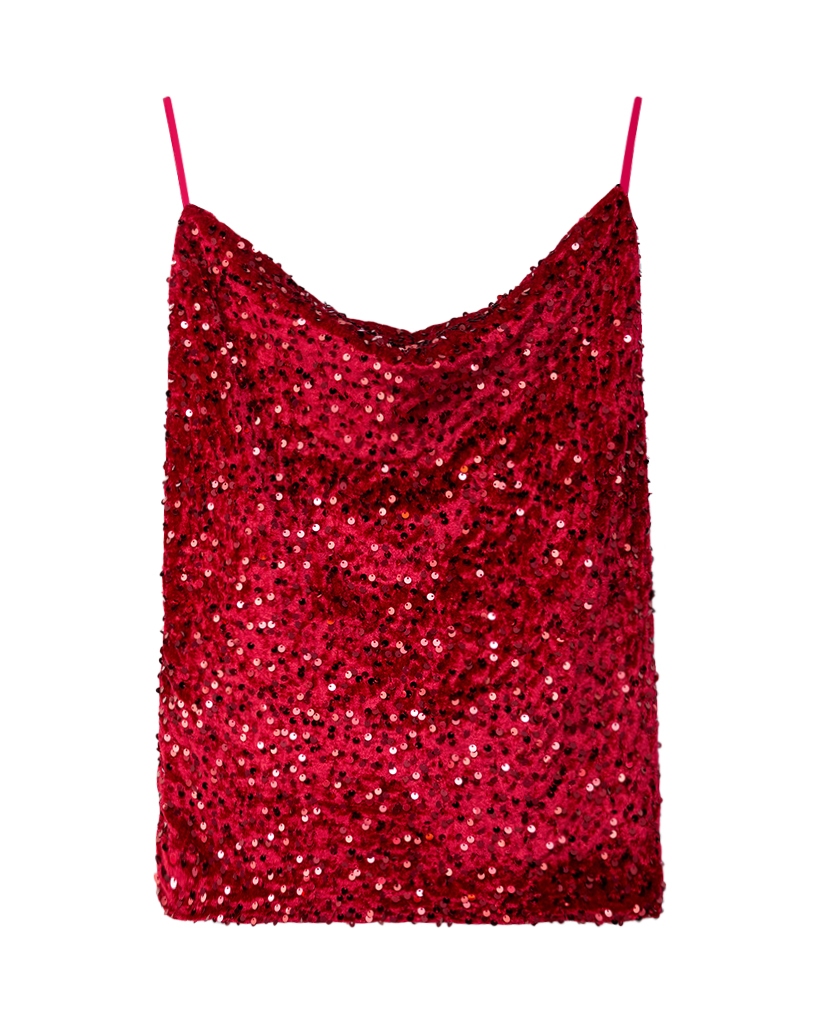 Samt Pailetten Top